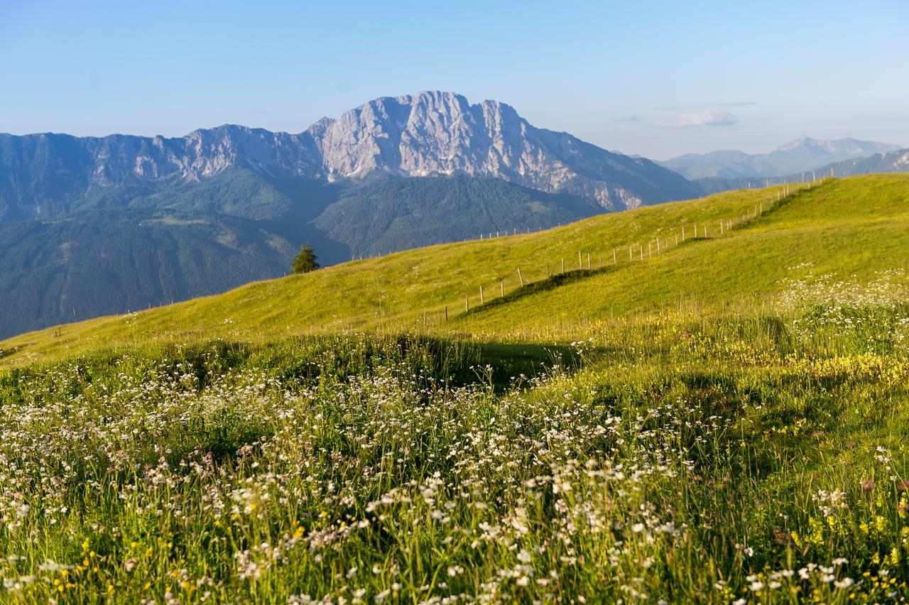 Sattleggers Alpenhof & Feriensternwarte 호텔 그레이펜버그 외부 사진