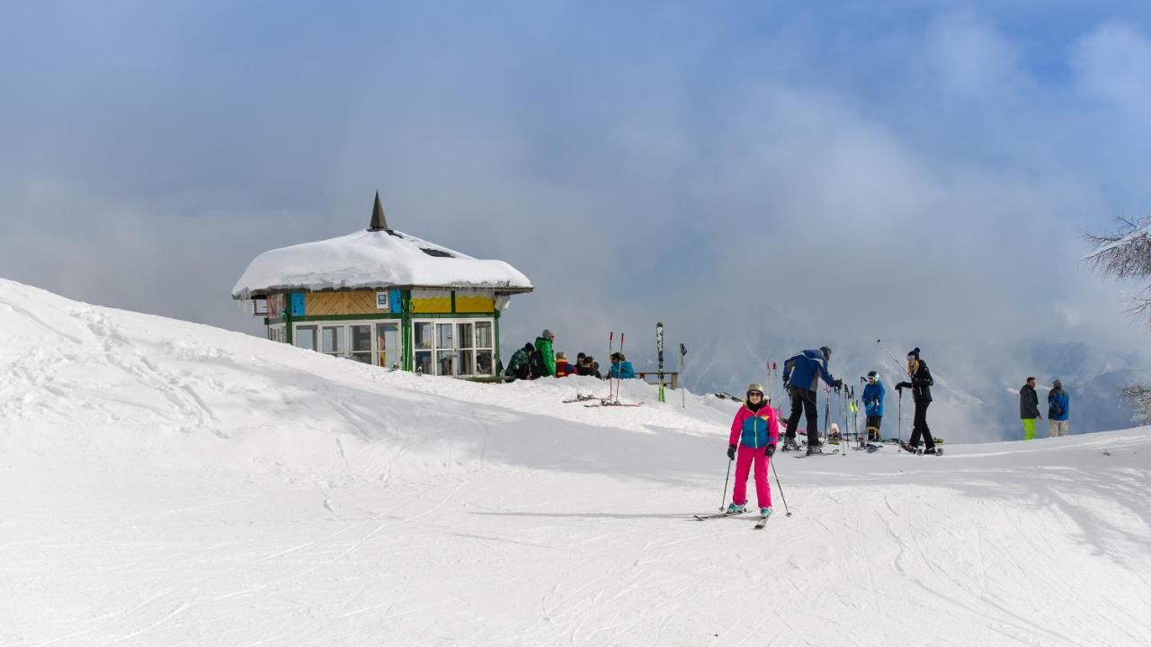 Sattleggers Alpenhof & Feriensternwarte 호텔 그레이펜버그 외부 사진